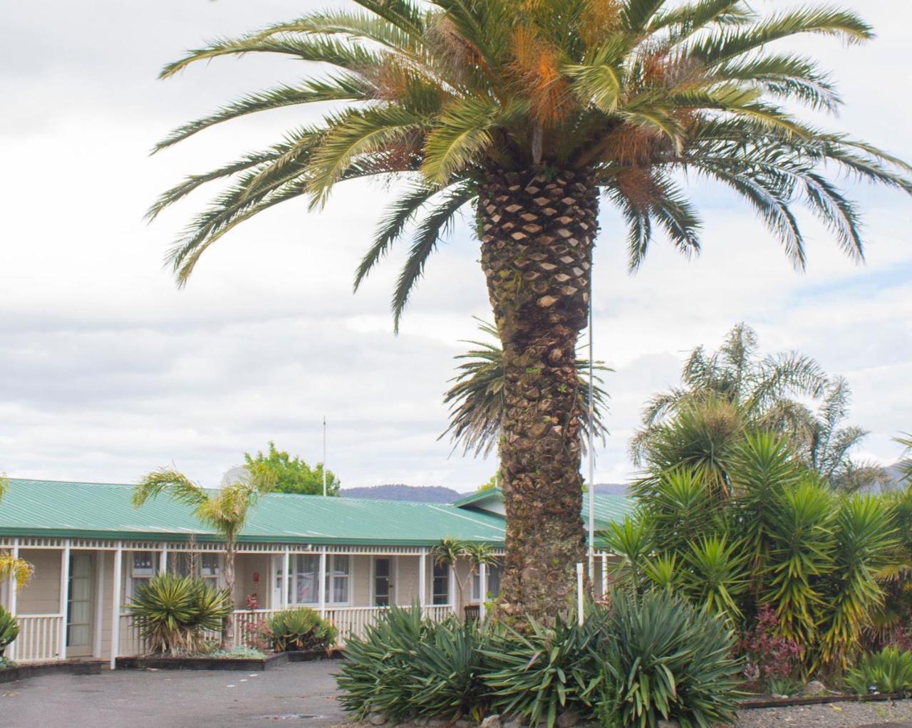 Palm Motel וויהי מראה חיצוני תמונה